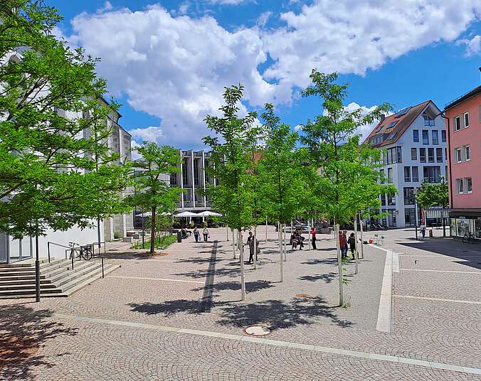 Platz mit Bäumen