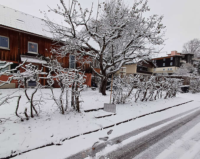 verschneite Gehwege und Bäume