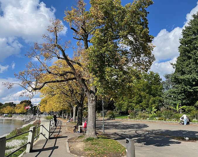Uferpromenade (Foto: Stadt Friedrichshafen)