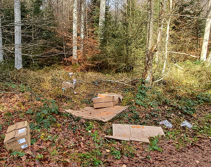 Mehrere Kartons liegen zwischen Bäumen